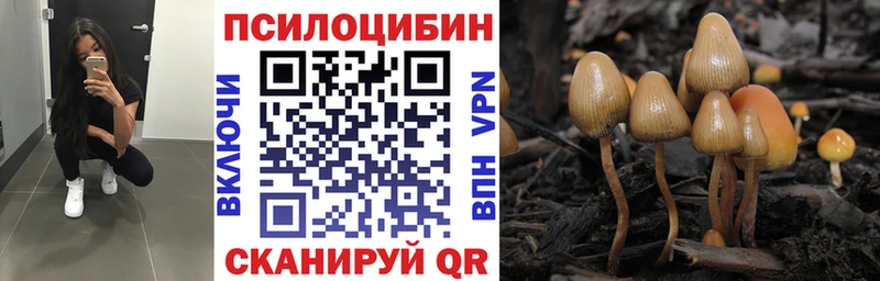 Псилоцибиновые грибы Cubensis Эртиль